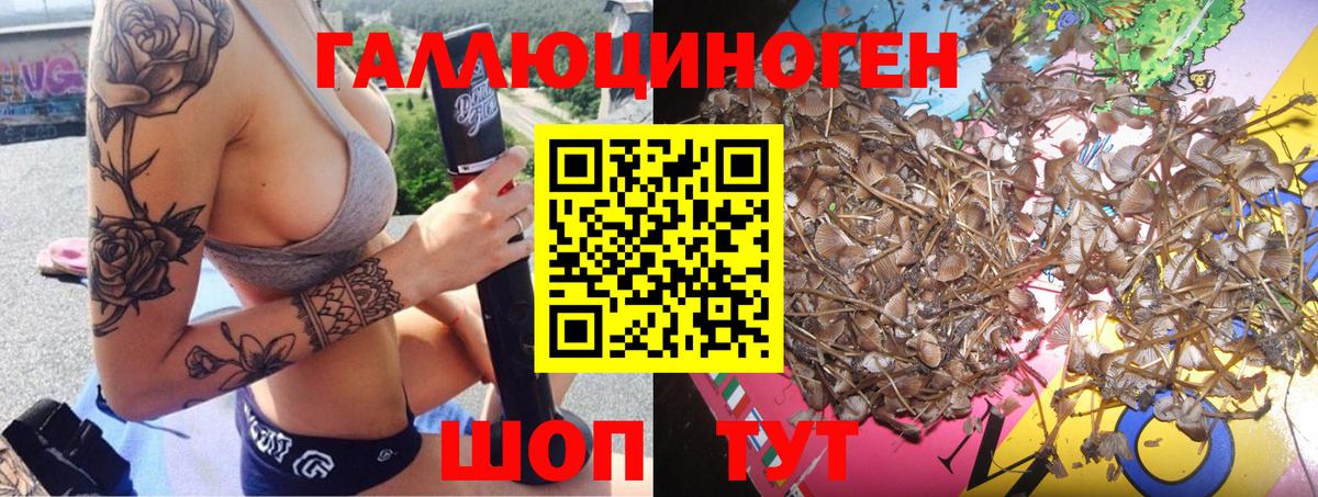 Галлюциногенные грибы Magic Shrooms  Вход с VPN  Мыски 