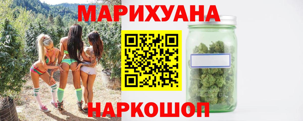 Канабис сатива  Конопля план  Конопля планчик  Мыски  Вход с VPN  Бошки Шишки сатива 